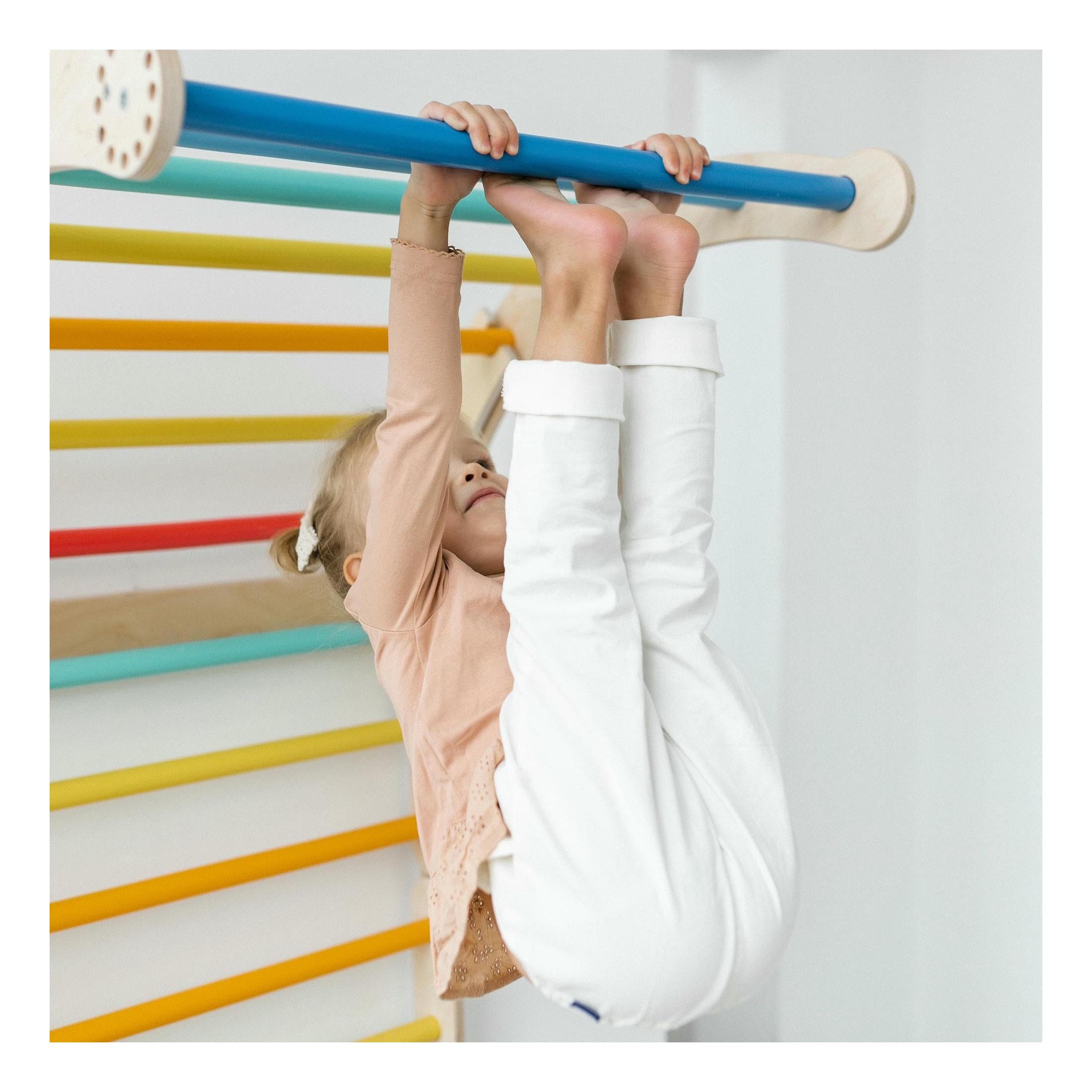 Large Inclinable Climbing Wall – Swedish Ladder