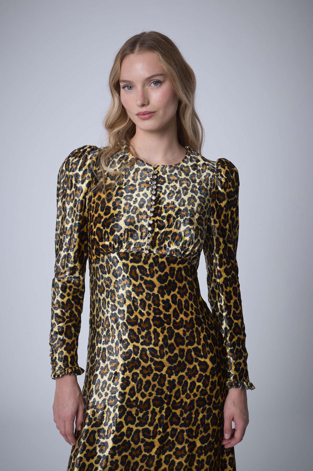 Long Dress Velvet Panther
