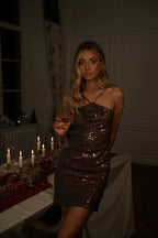 Dora Sequin Dress - Taupe