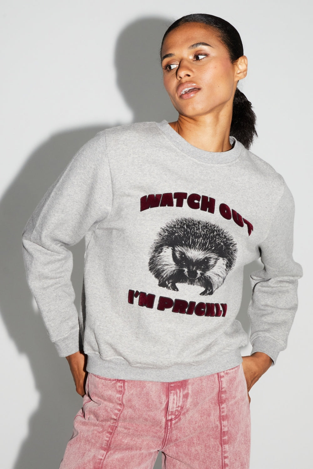 Sweatshirt Eddie Hérisson Prickly Hergestellt In Portugal - Weiß
