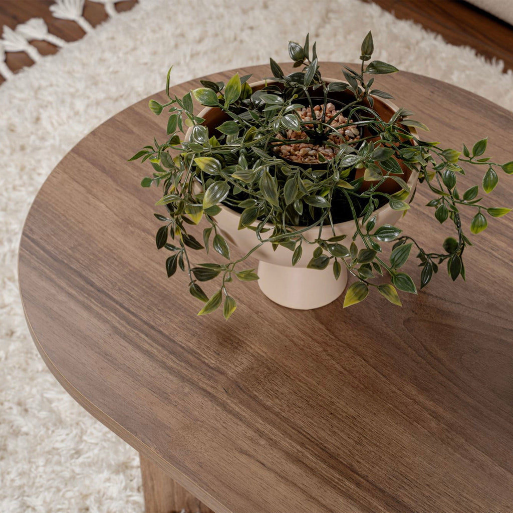 Liora - Table Basse Ovale Design - Noyer