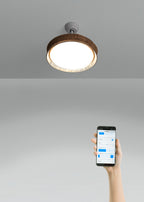 Wind Clear Rattan M - Ventilador De Techo Silencioso Aspas Retráctiles Con Iluminación LED - Con Wifi - Trenzado