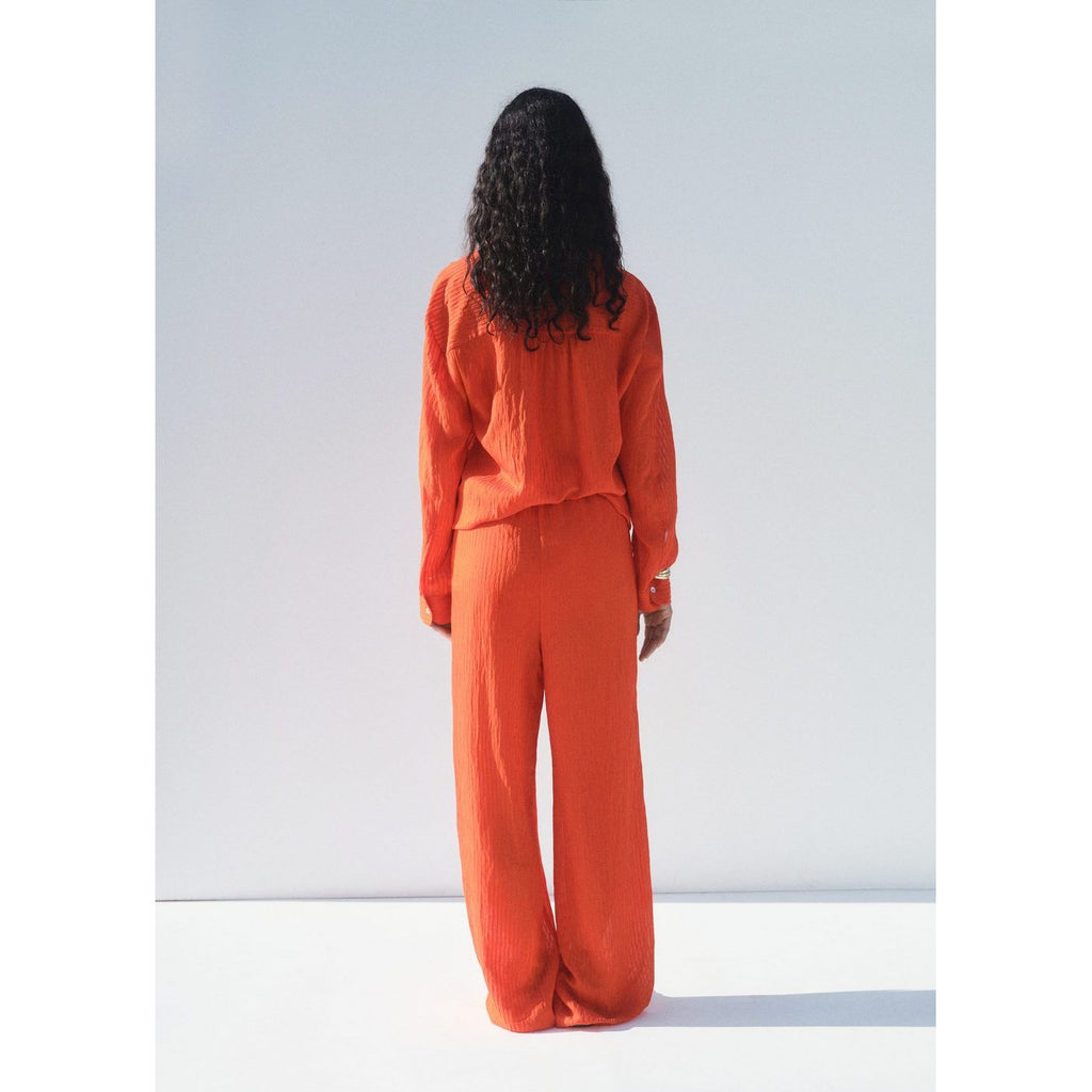 Carrot Pants - Orange