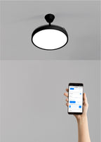 Wind Clear Studio - Ventilateur De Plafond 40W Silencieux Avec Pales Rétractables Et Lumière Led - Noir