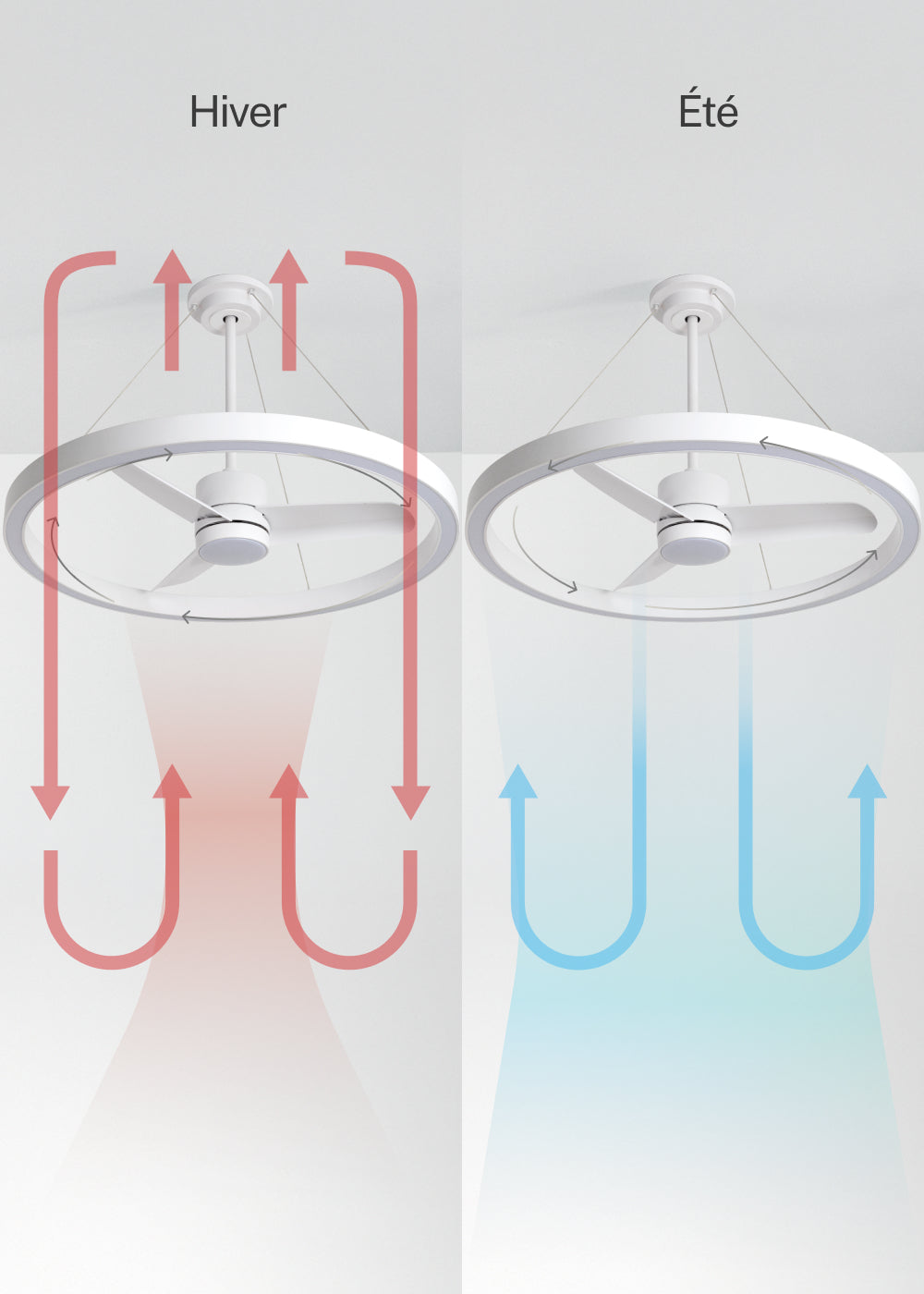 Wind Halo - Ventilador De Techo Silencioso 36W Ø108Cm Con Aro De Luz LED