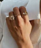 Lipa Ring