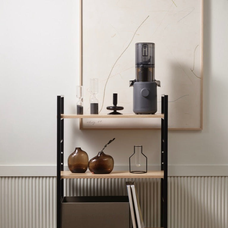 Mini Slow Juice Extractor - H310A Series - Anthracite