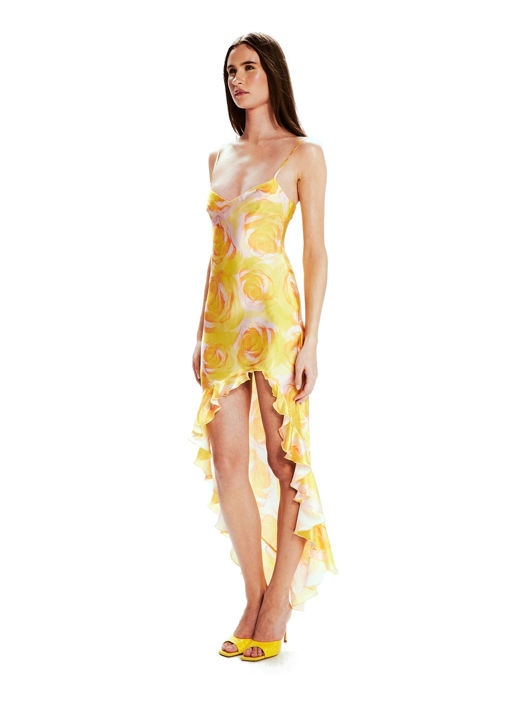 Vestido Valentina Rosas Silvestres
