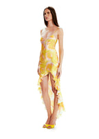 Vestido Valentina Rosas Silvestres