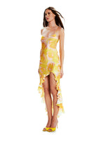 Vestido Valentina Rosas Silvestres