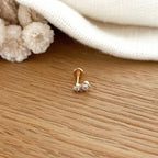 Gold Plated “Edwin” Ear Piercing