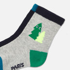 Socks - Blue/Multicolour - Boy
