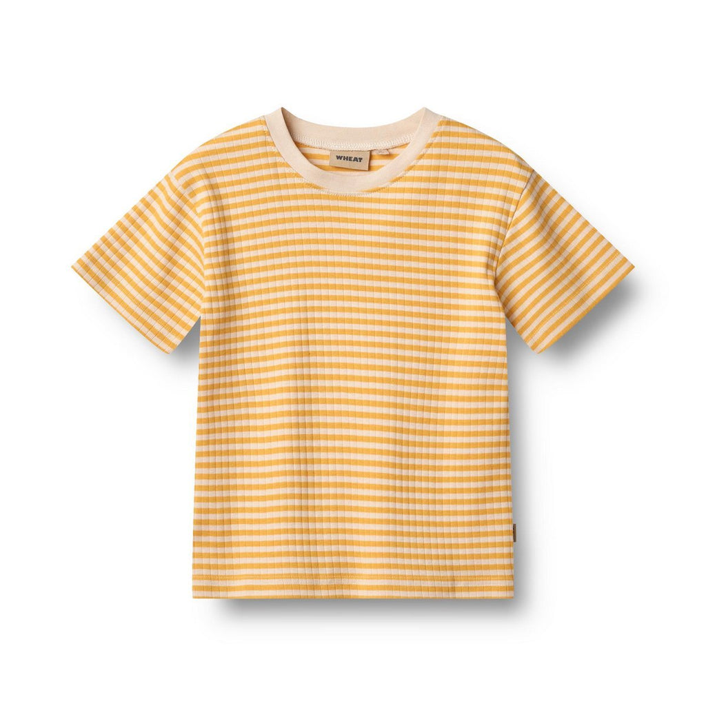 T-Shirt Manches Courtes Fabian - Junior