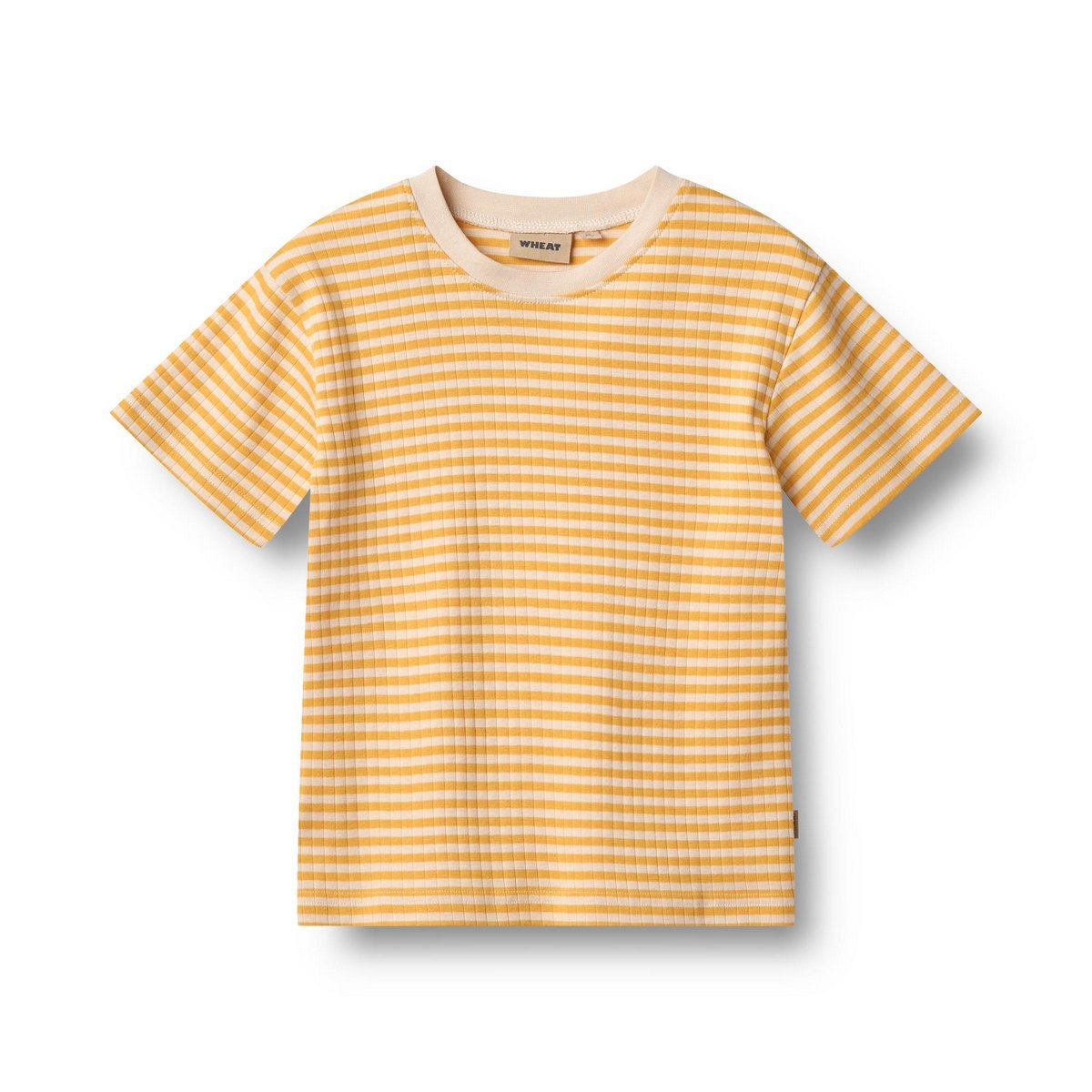 T-Shirt Manches Courtes Fabian - Junior