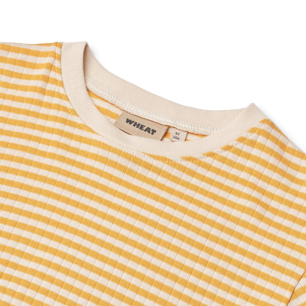 T-Shirt Manches Courtes Fabian - Junior