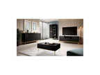 Kasha - 2-Door Display Cabinet - Gold Legs