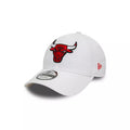 Casquette New Era Nba 9Forty Trucker Chibul