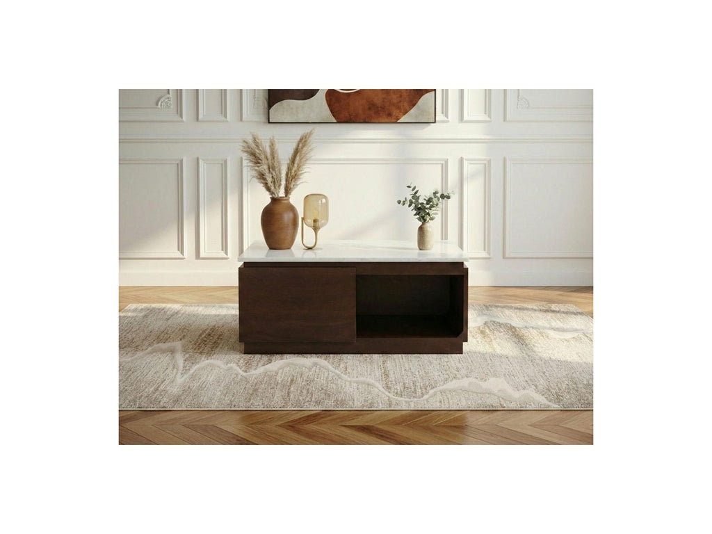 Barbara - Square Coffee Table 2 Drawers 80 cm Solid Mango Wood and Marble