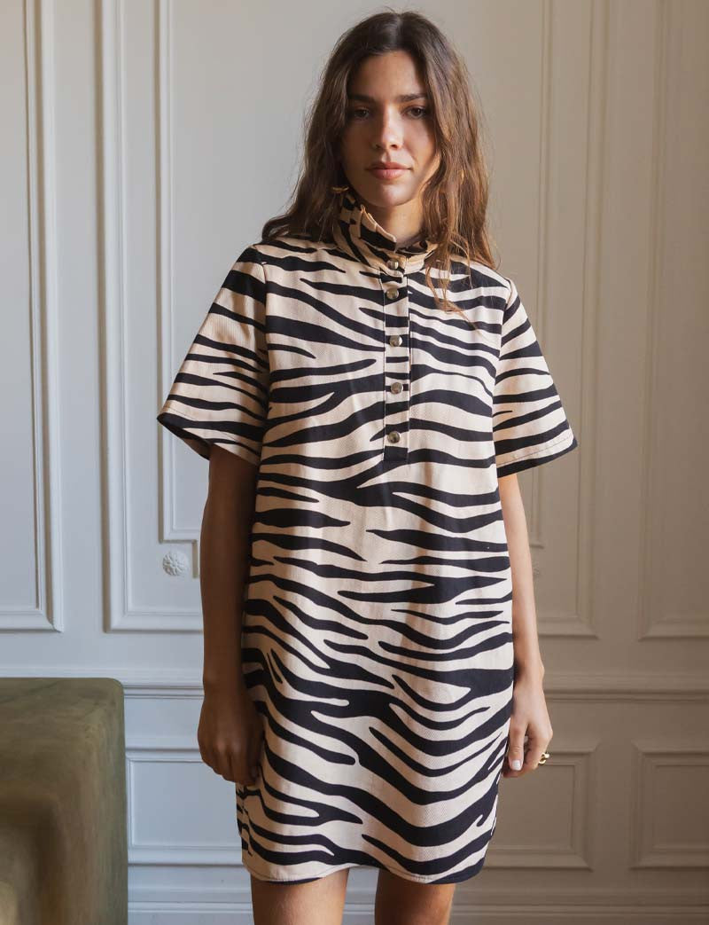 James Zebra Dress