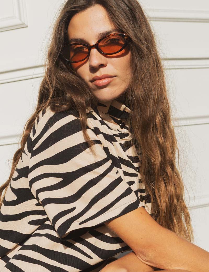 James Zebra Dress