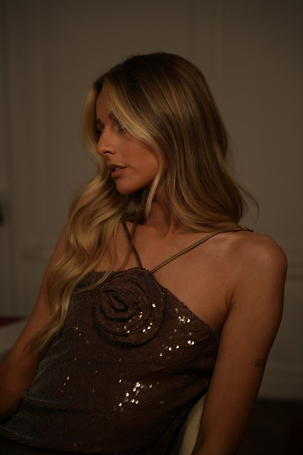 Dora Sequin Dress - Taupe