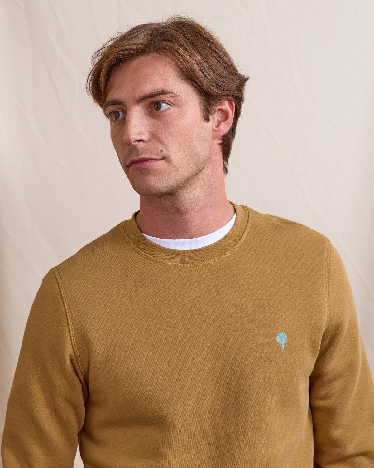 Sweatshirt mit Rundhalsausschnitt Hellbeige