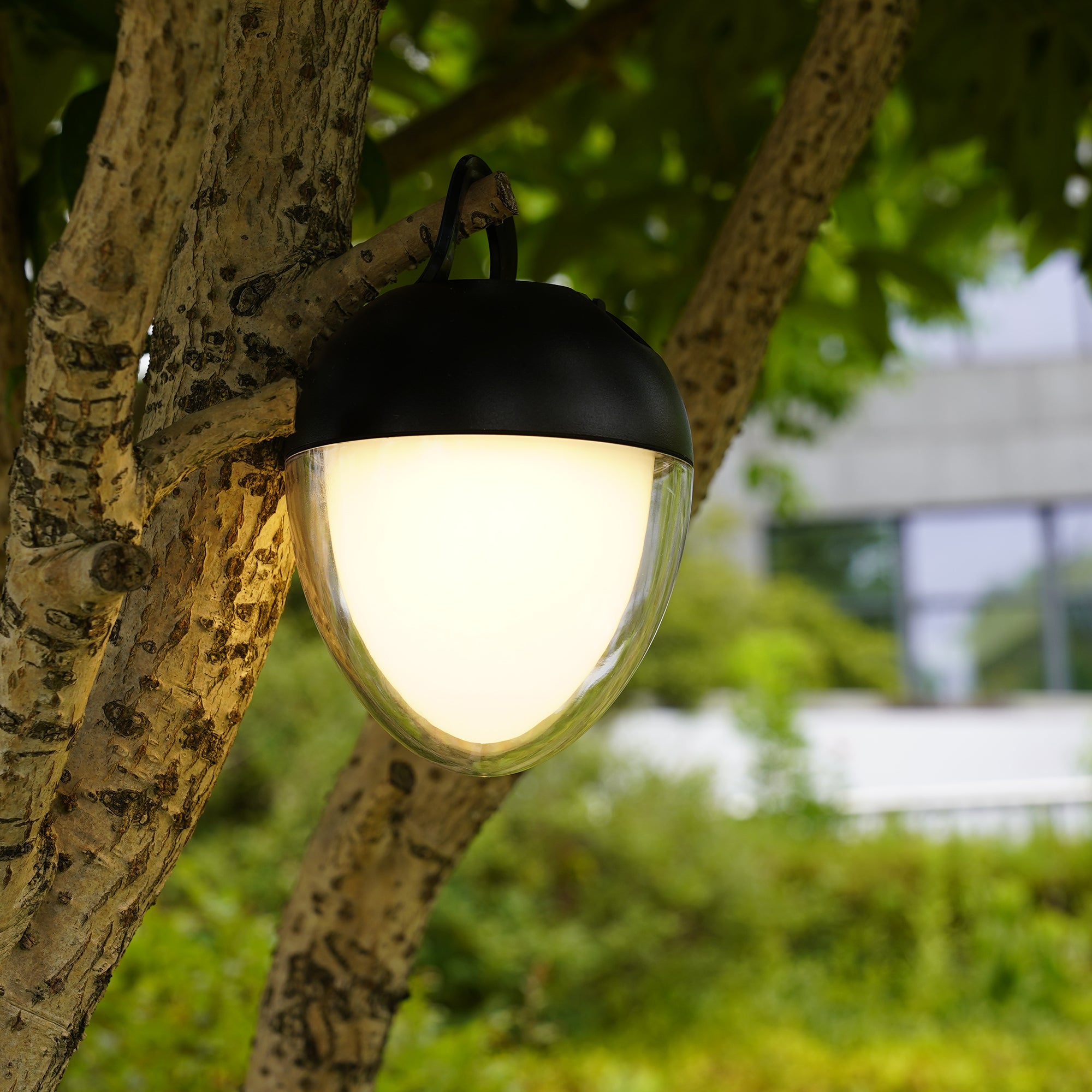 Ovie - Lampe De Table Sans Fil - Acier - Noir