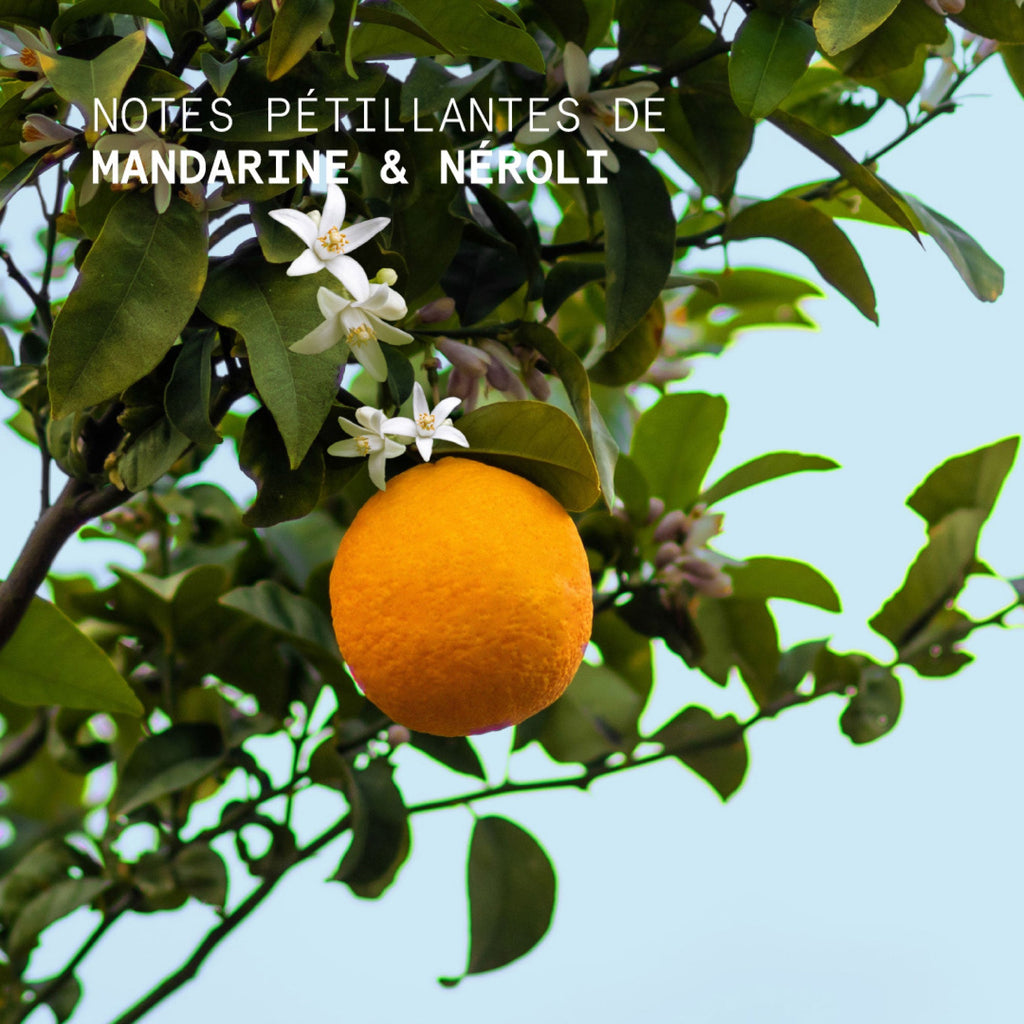 Crema Mani Mandarin Neroli - 50Ml