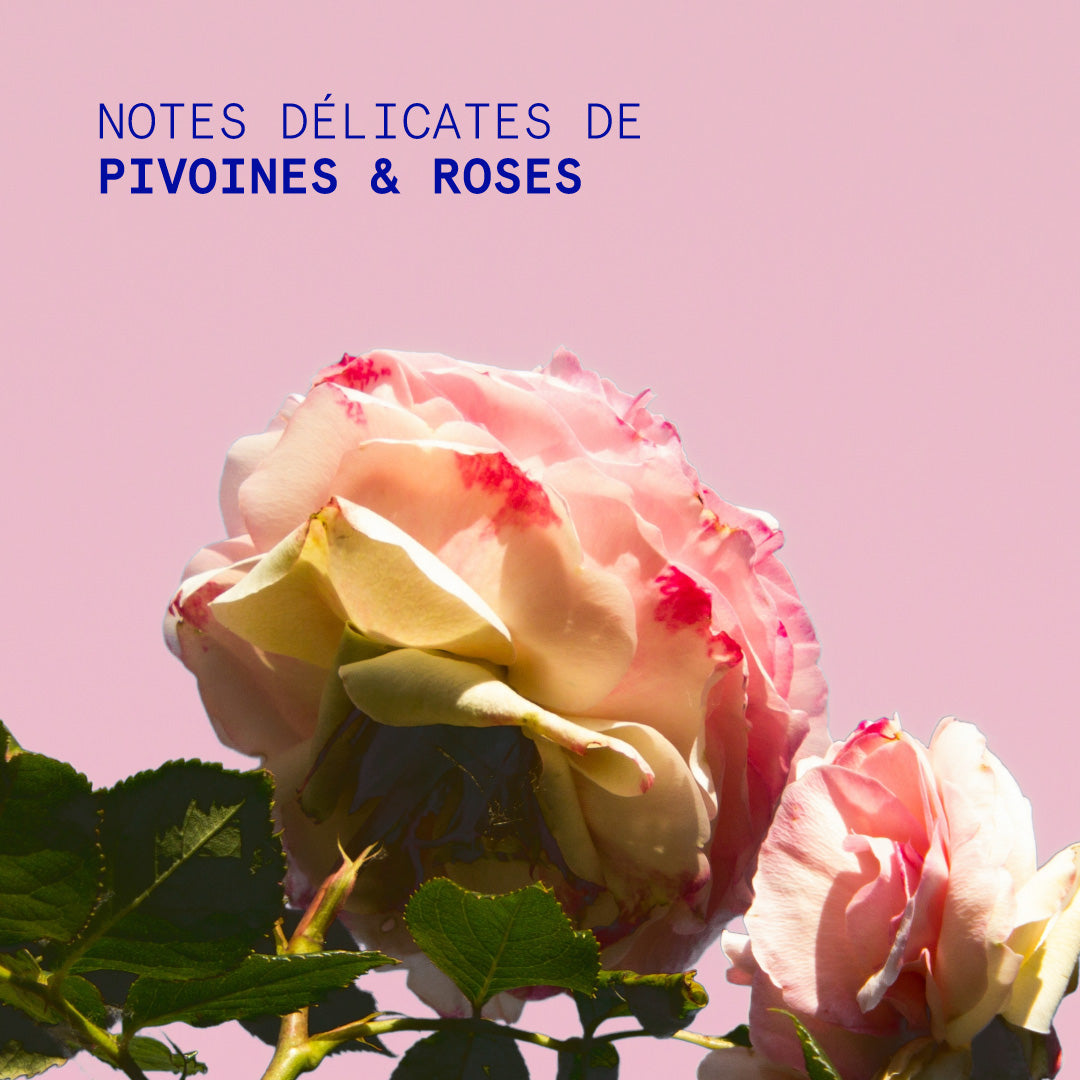 Håndcreme Peony Rose - 50 ml