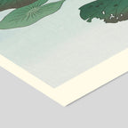 A.P. Atelier - Water Lily