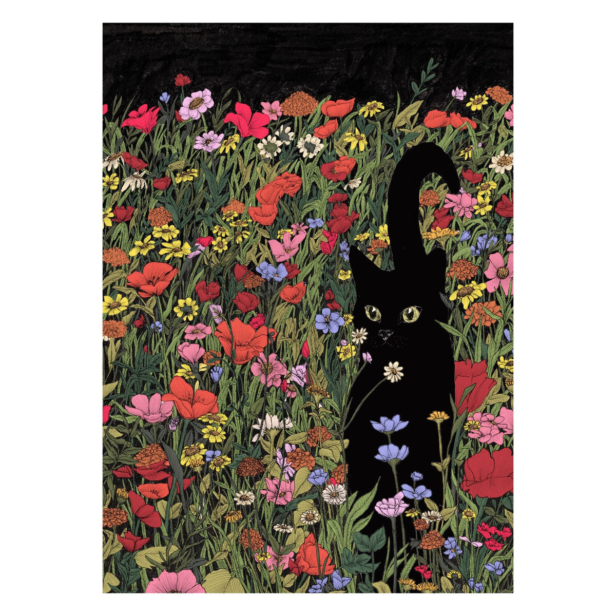 Ec Mazur - Black Meadow Cat