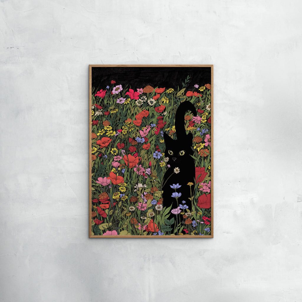 Ec Mazur - Black Meadow Cat