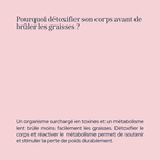 Pack Détox & Brûle-Graisse