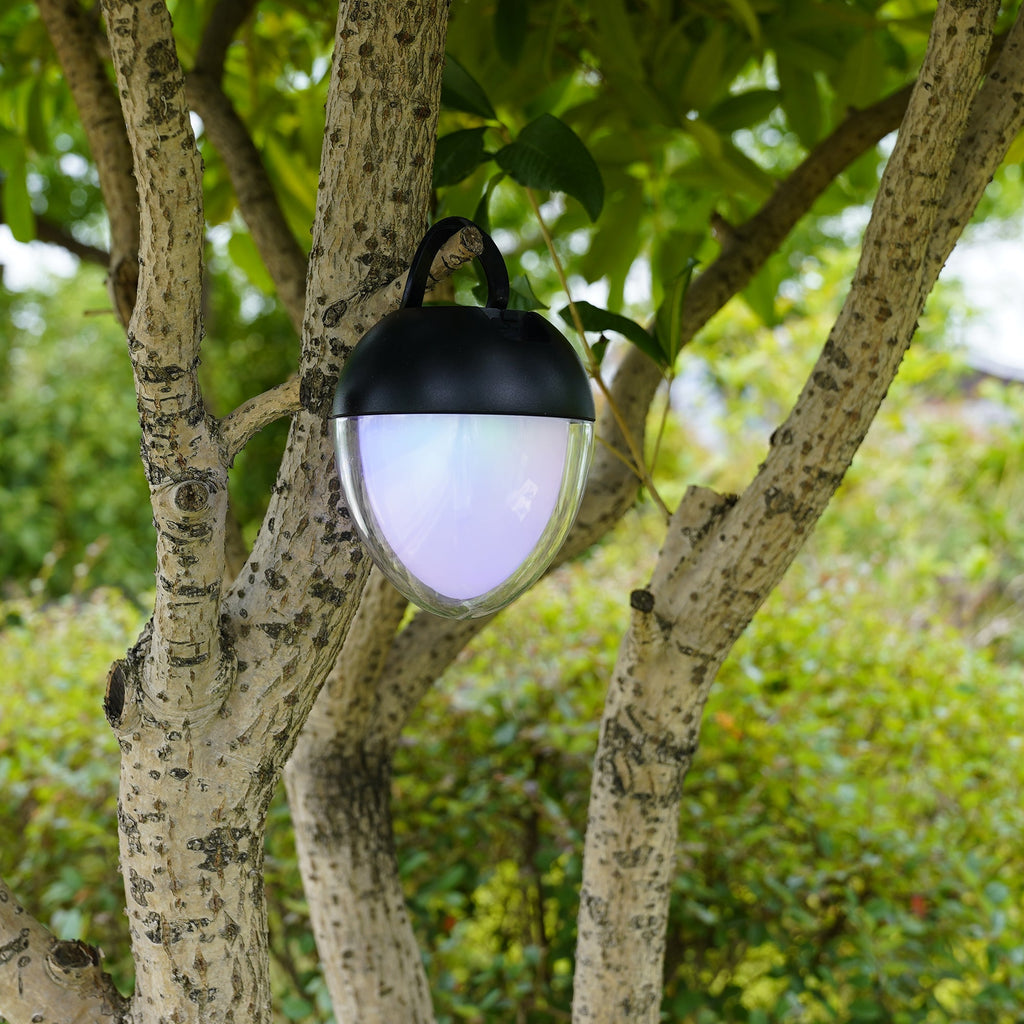 Ovie - Lampe De Table Sans Fil - Acier - Noir