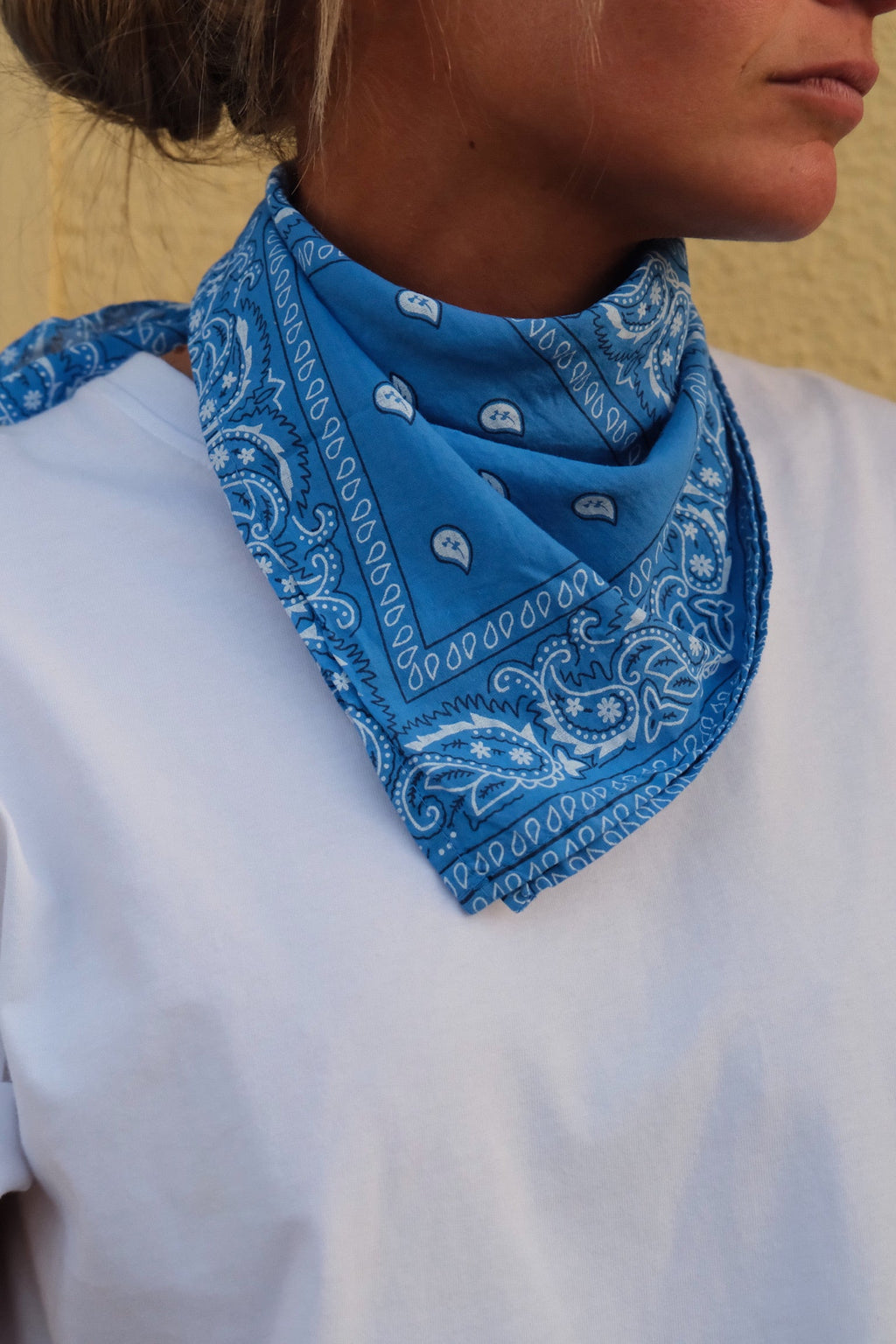 Pañuelo bandana azul