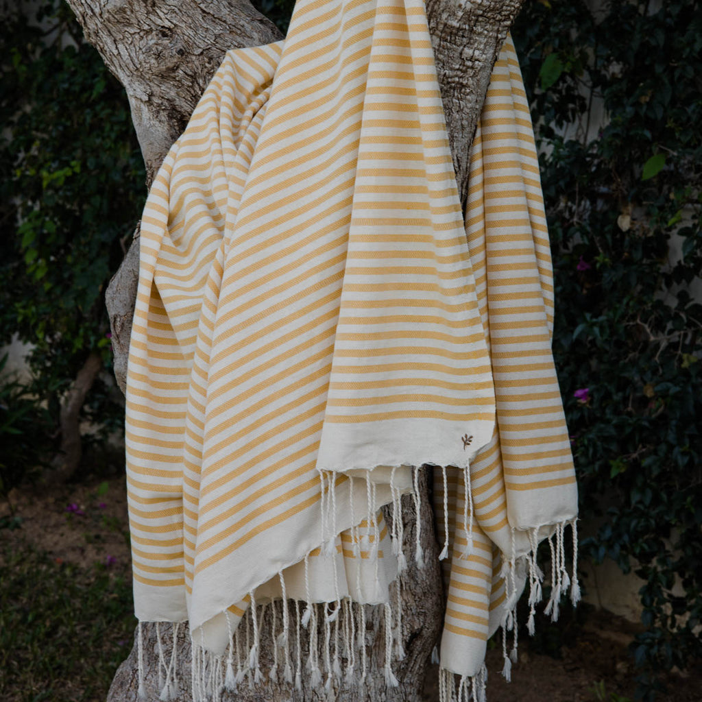 Hossegor - Lot De 3 Foutas - Jaune Moutarde
