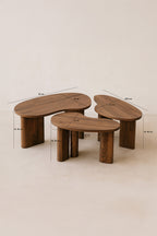 Charlie - Lot De 3 Tables Basses Organiques - Effet Noyer - Noyer