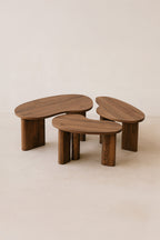 Charlie - Lot De 3 Tables Basses Organiques - Effet Noyer - Noyer