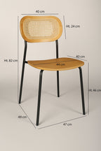 Nosara - Lot De 2 Chaise - Rotin/Métal/Bois - Noir/Naturel