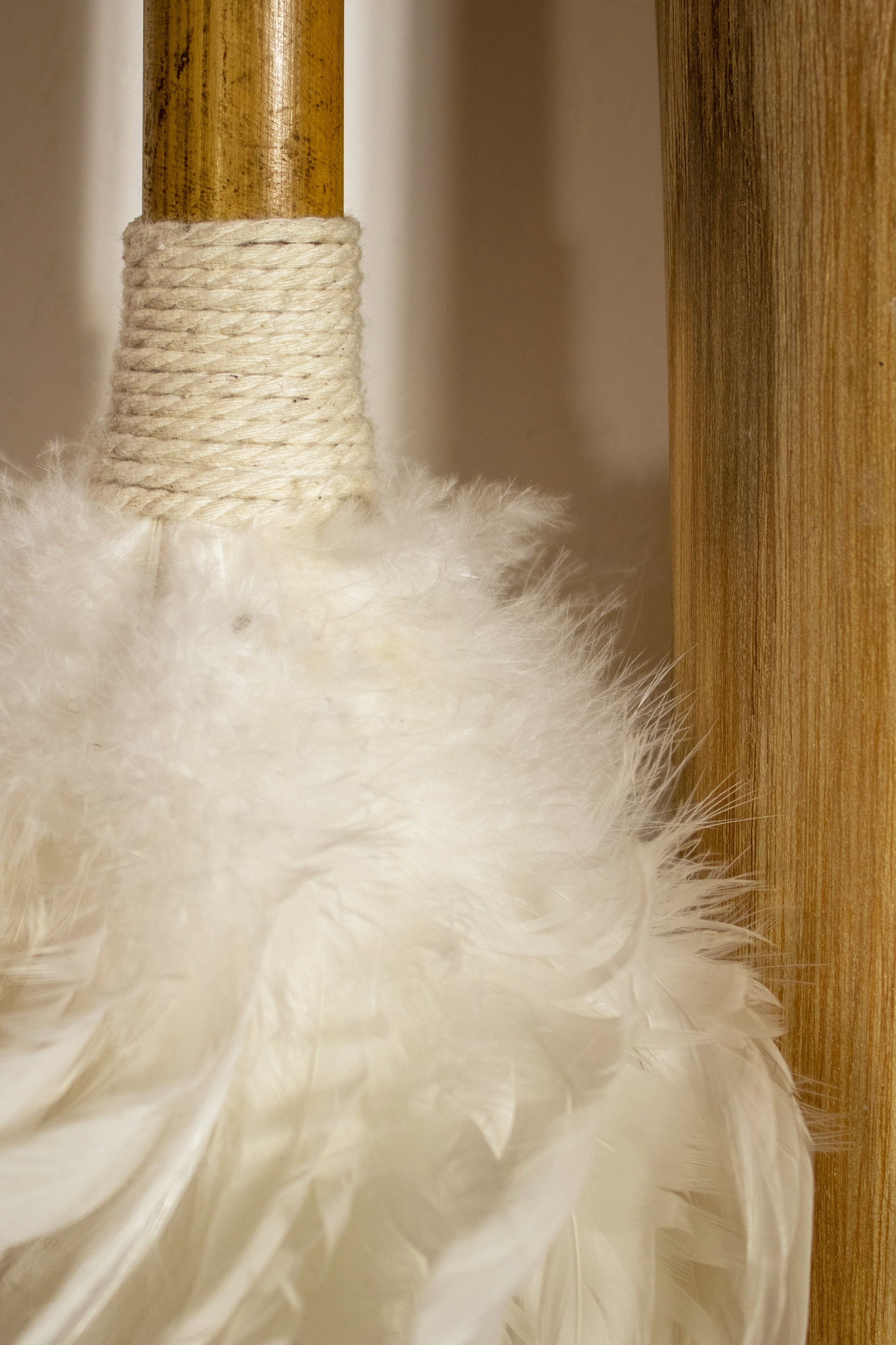Plumero Decorativo Kemoa - Bambú Y Plumas Blancas