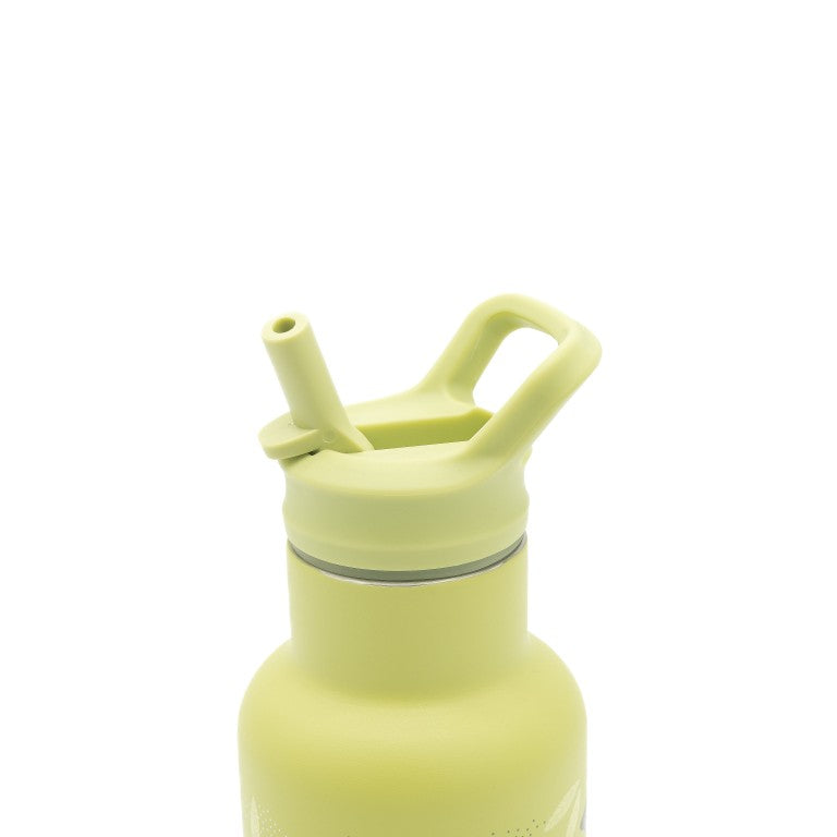 Gourde Isotherme 350 Ml - Le Dinosaure