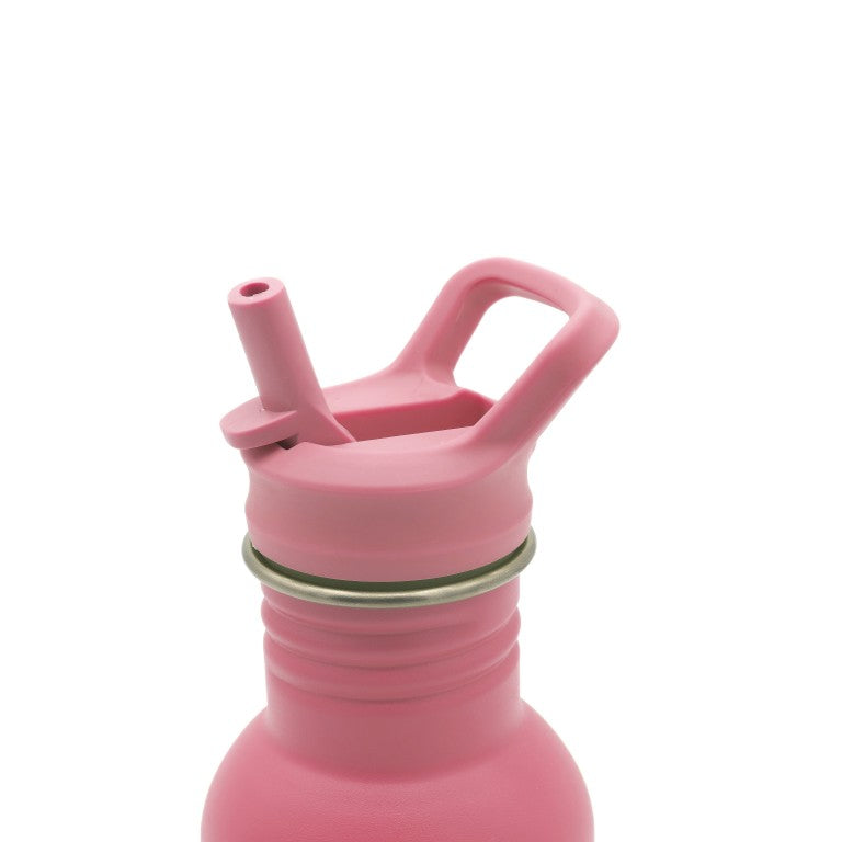500 ml Water Bottle - The Rabbit
