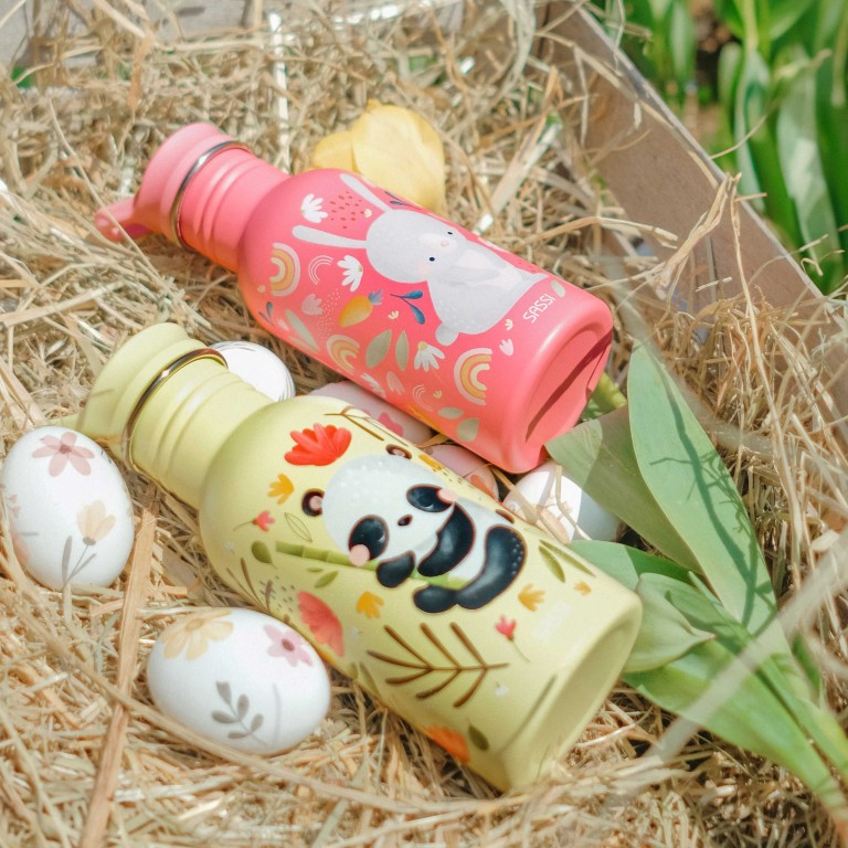 500 ml Water Bottle - The Rabbit