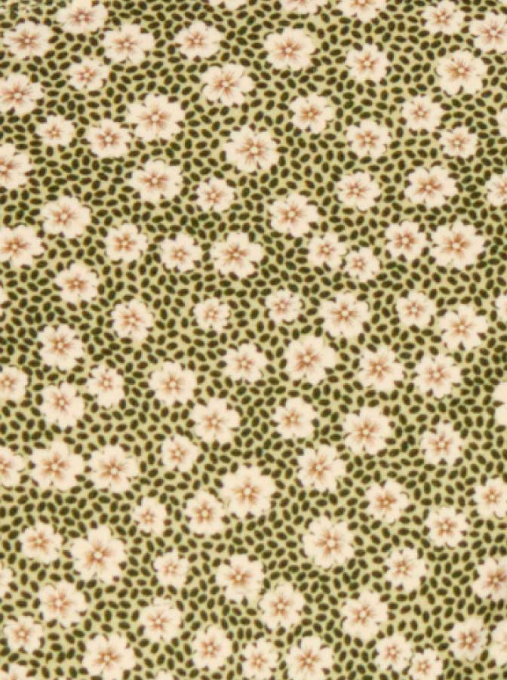 High Cut Swim Blooming Green Floral Briefs