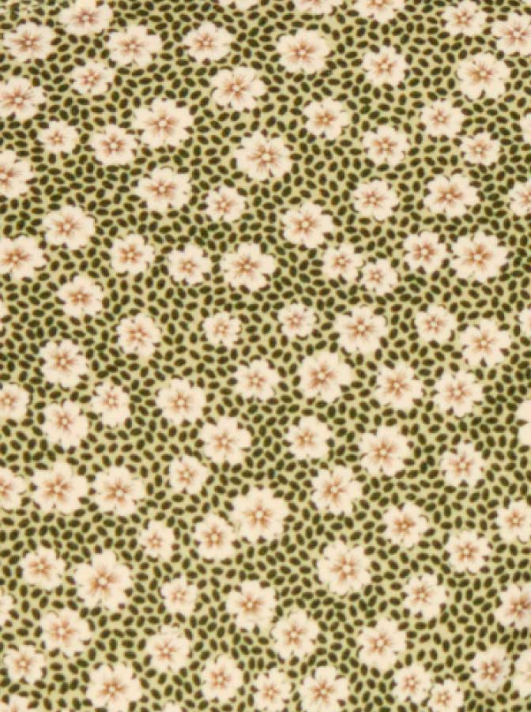 High Cut Swim Blooming Green Floral Briefs