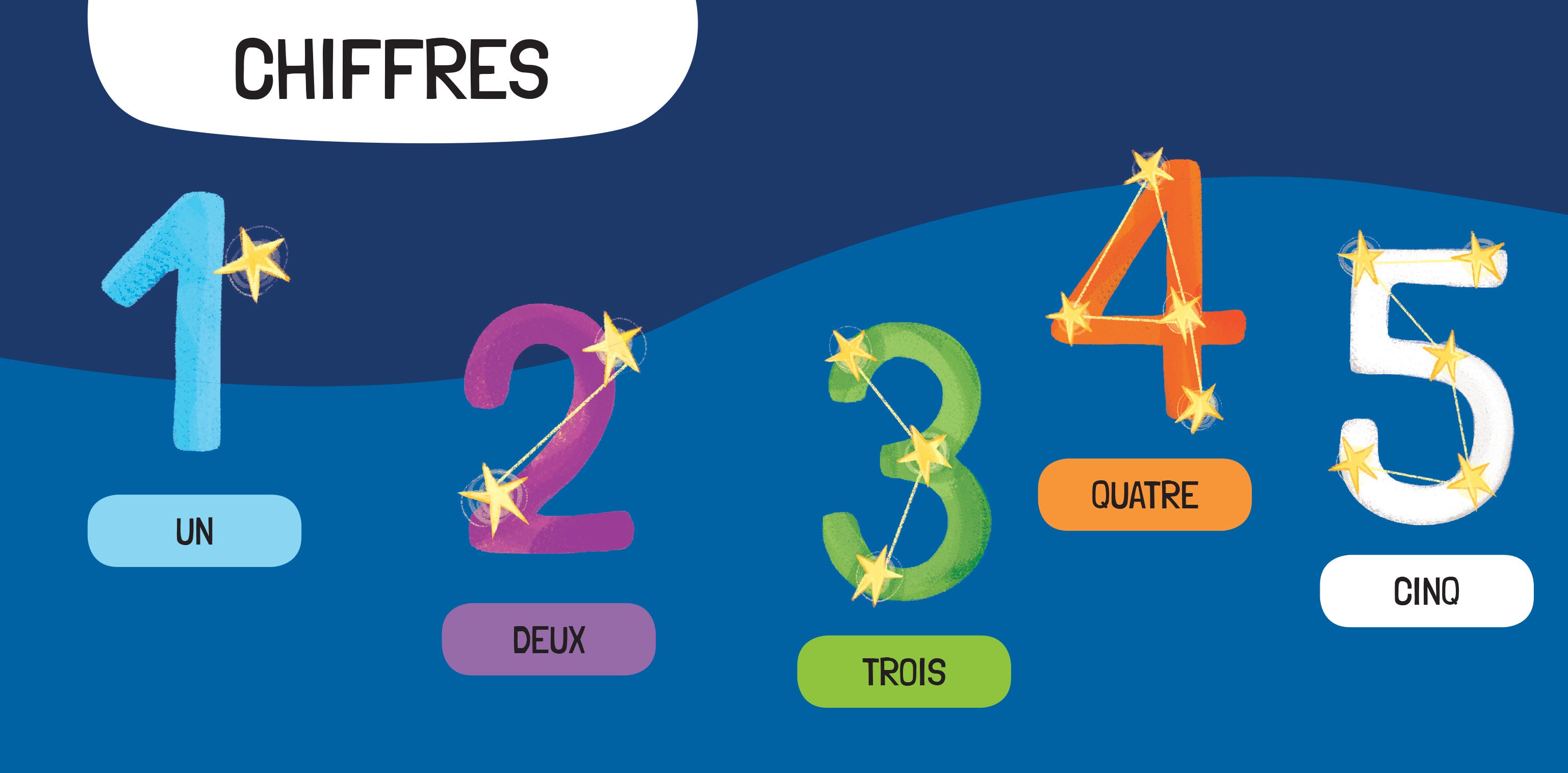 Q-Box. L'Espace