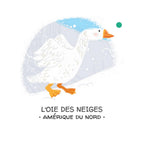 Let's Protect Animals. The Ice Floe