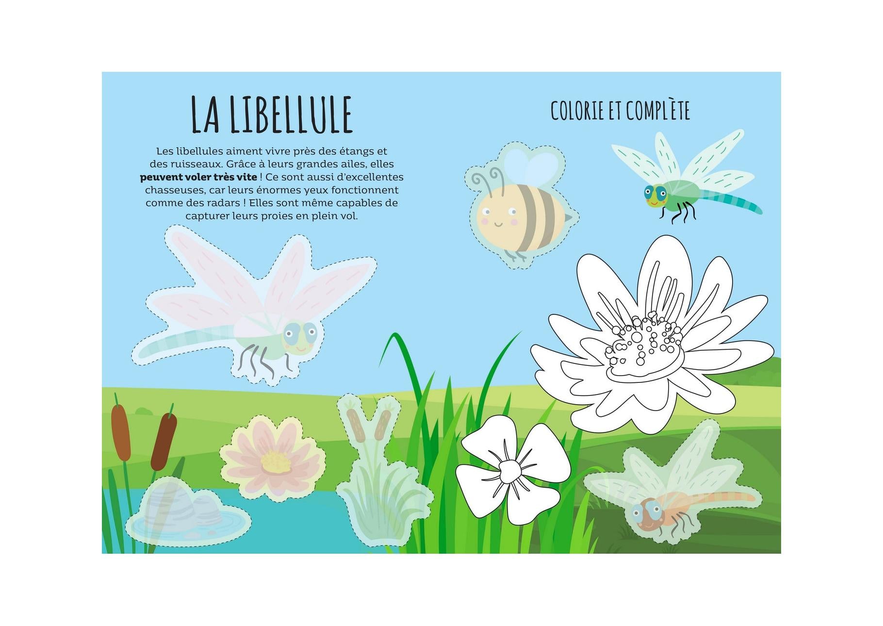 Book and Games - Liar. The Garden