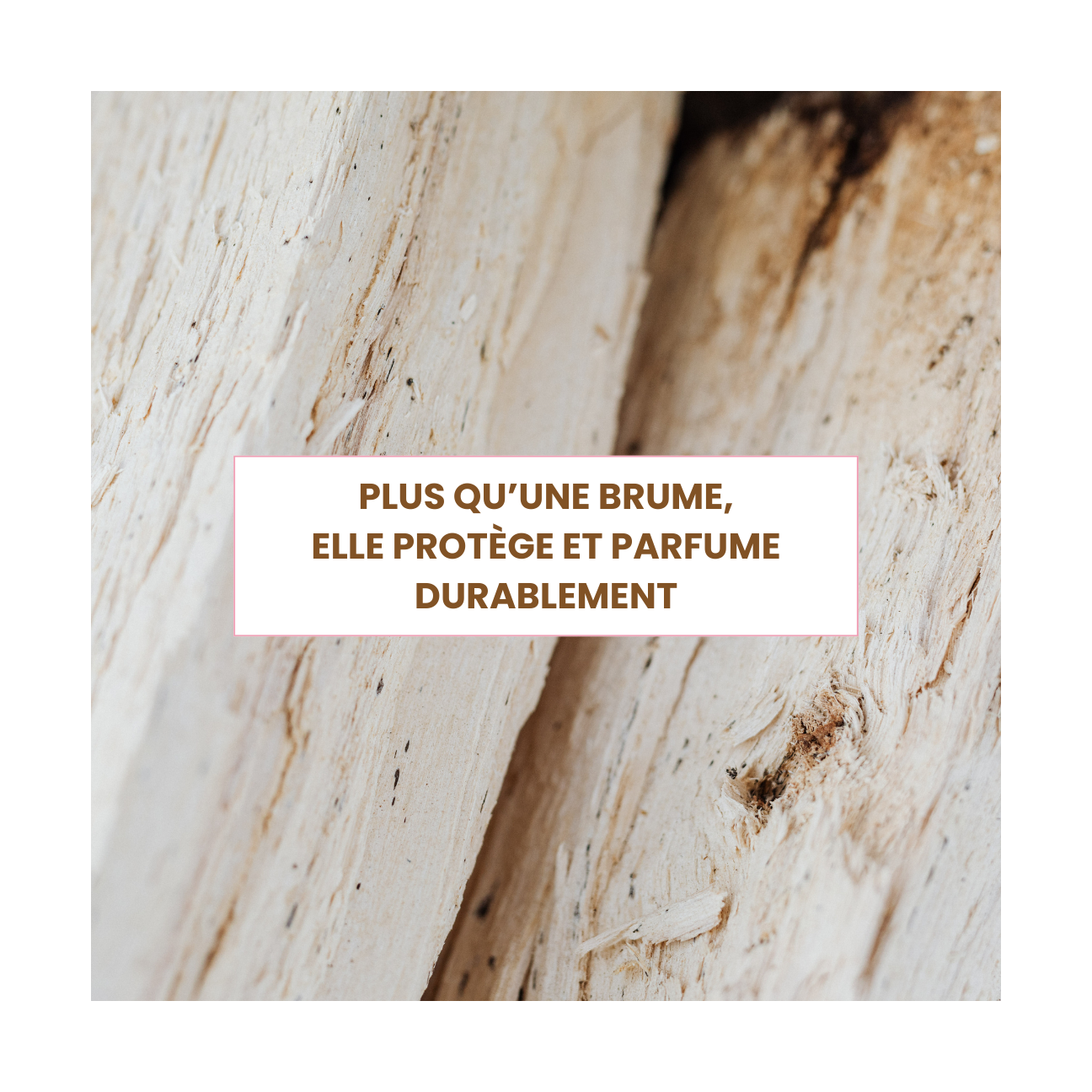 Brume De Parfum Musc Et Bois Blanc