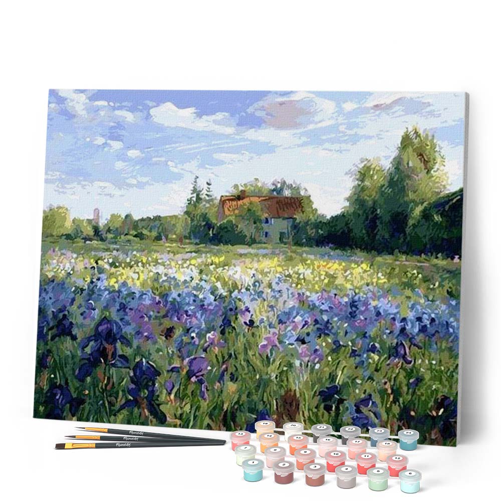 Pintura por números - En el campo
